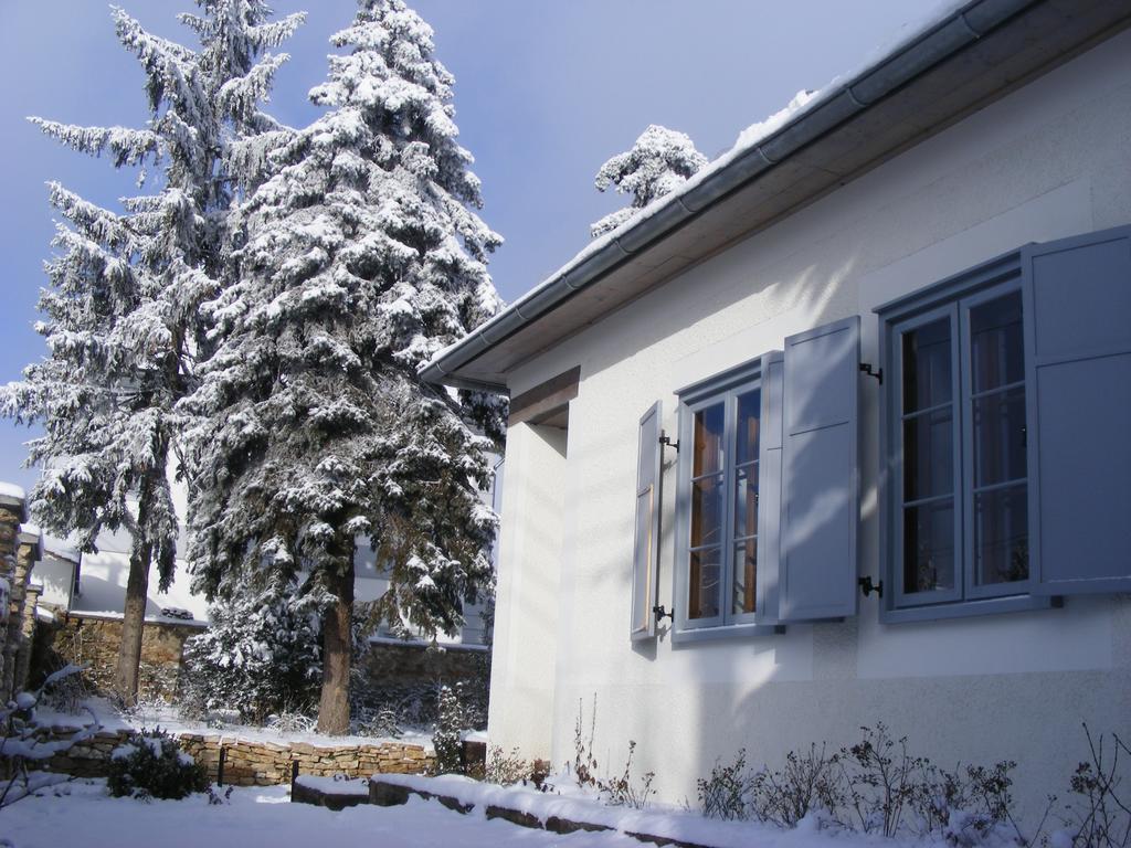 Bagolyvár Fogadó- Újfalusy Márton Vendégház Zirc Extérieur photo