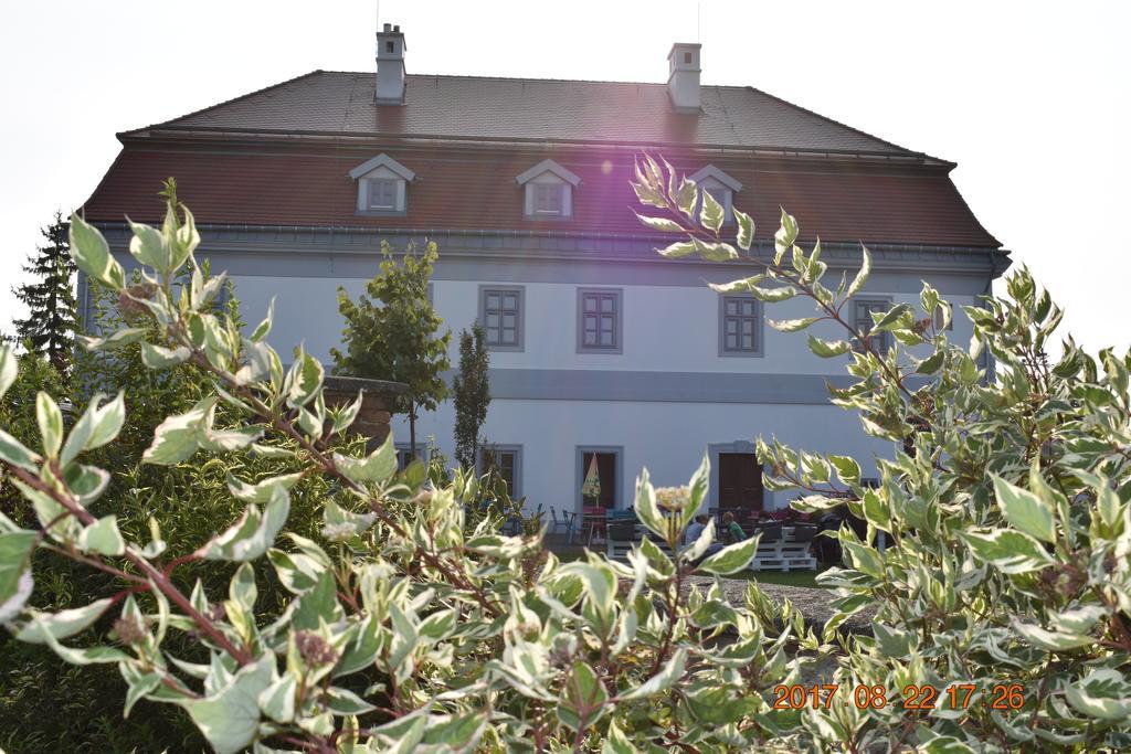 Bagolyvár Fogadó- Újfalusy Márton Vendégház Zirc Extérieur photo