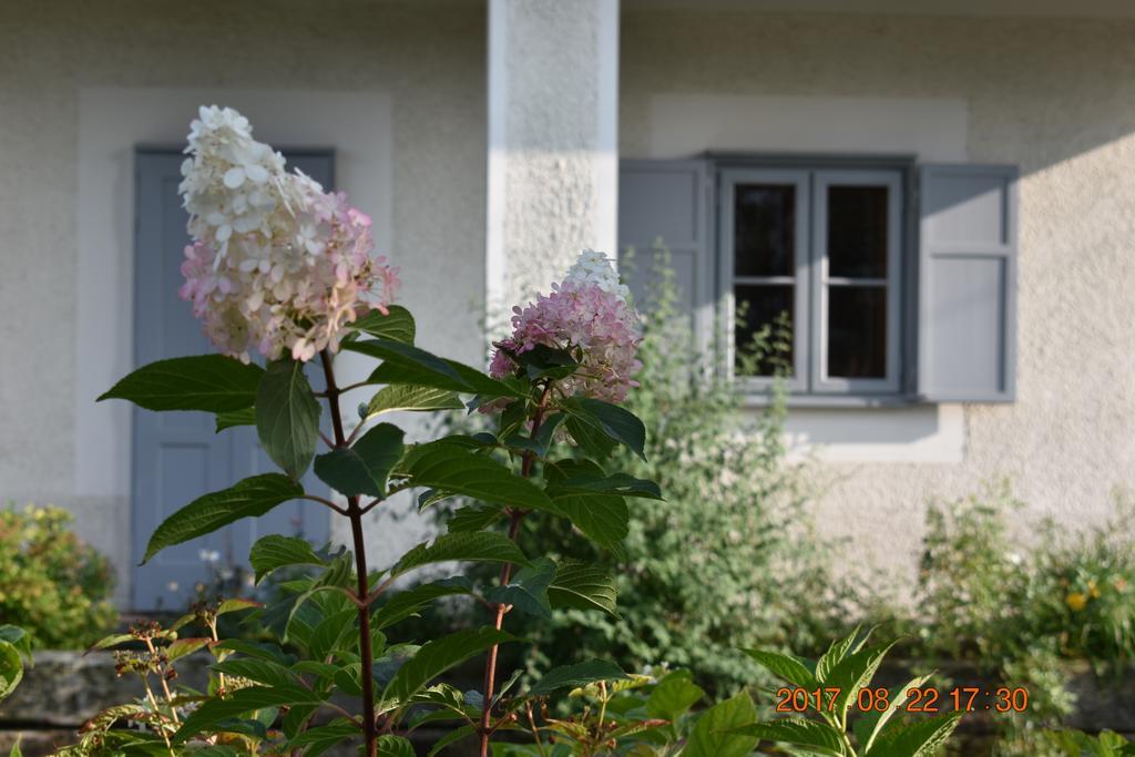 Bagolyvár Fogadó- Újfalusy Márton Vendégház Zirc Extérieur photo